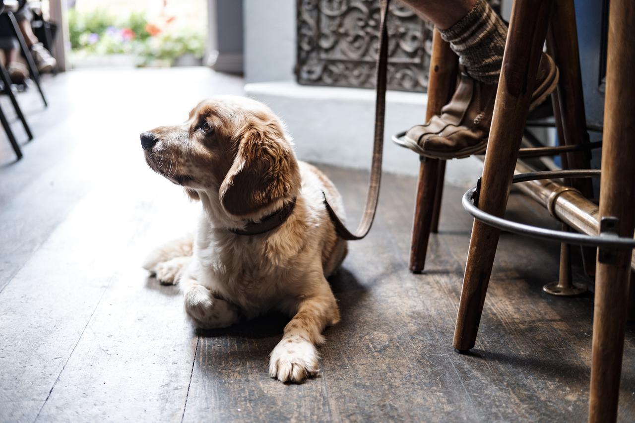 The Bull Hotel Bridport Ngoại thất bức ảnh